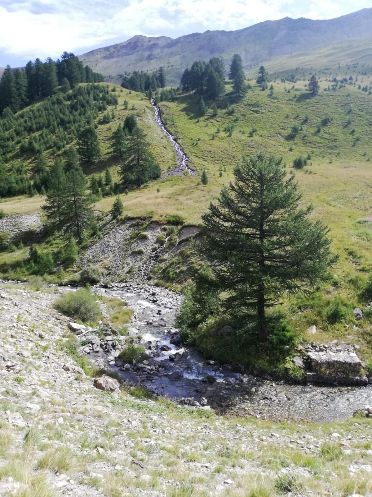 App Vue Montagne Barcelonnette Proche Piscine Rando Riviere Nature Bagian luar foto